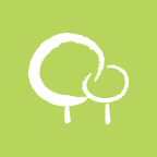 babytree.com favicon ico