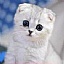 dabao.yigushi.com favicon ico