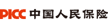 e.picc.com favicon ico
