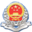 etax.shandong.chinatax.gov.cn favicon ico
