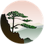 www.ccgp-anhui.gov.cn favicon ico
