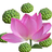 www.cixinge.cn favicon ico