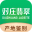www.duizhuang.com favicon ico