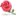 www.flower18.com.cn favicon ico