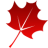 www.luxblog.net favicon ico