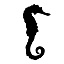 www.ragjj.com favicon ico