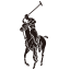 www.ralphlauren.cn favicon ico