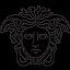 www.versace.cn favicon ico