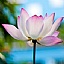 www.yuhou.com favicon ico