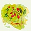 zhongcaoyao.bmcx.com favicon ico
